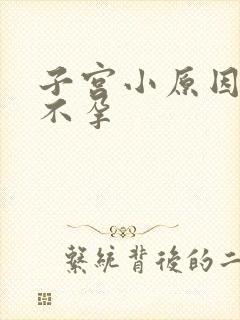 子宫小原因导致不孕