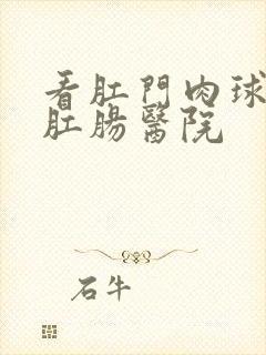 看肛门肉球疼的肛肠医院