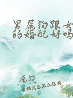 男属狗跟女属牛的婚配好吗