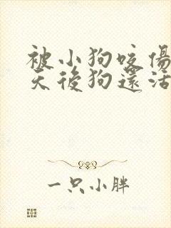 被小狗咬伤10天后狗还活着需要打针吗