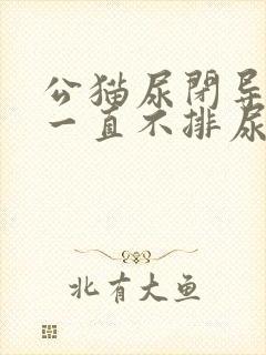 公猫尿闭导尿后一直不排尿