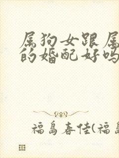 属狗女跟属牛男的婚配好吗