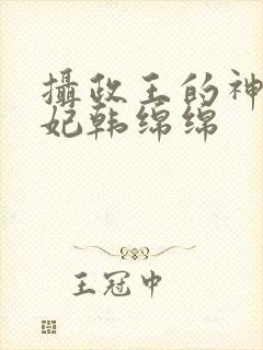 摄政王的神医狂妃韩绵绵