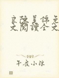 良陈美锦免费全文阅读全文