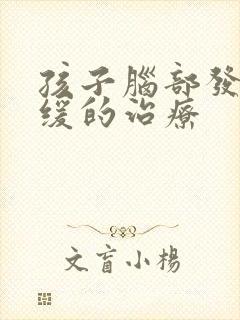 孩子脑部发育迟缓的治疗