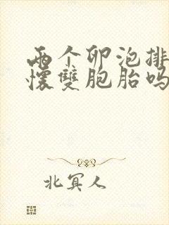 两个卵泡排出会怀双胞胎吗