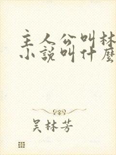 主人公叫林白的小说叫什么名字