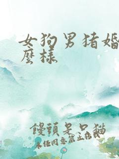 女狗男猪婚姻怎么样