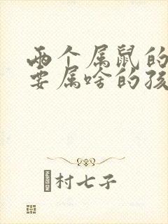 两个属鼠的适合要属啥的孩子