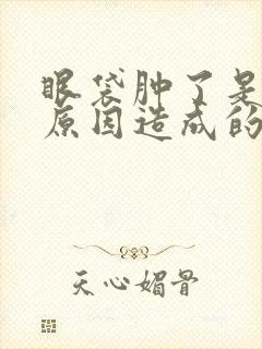 眼袋肿了是什么原因造成的