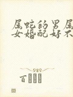 属蛇的男属羊的女婚配好不好