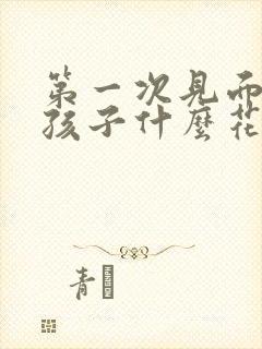 第一次见面送女孩子什么花