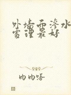 外墙面渗水怎么处理最好