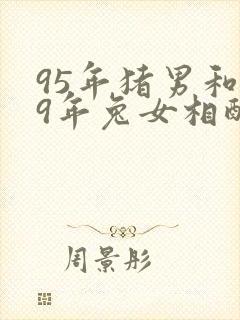 95年猪男和99年兔女相配婚姻如何