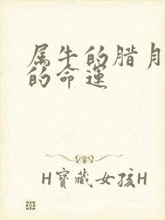 属牛的腊月出生的命运