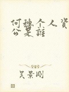 何穗个人资料老公是谁