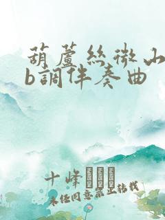 葫芦丝微山湖降b调伴奏曲