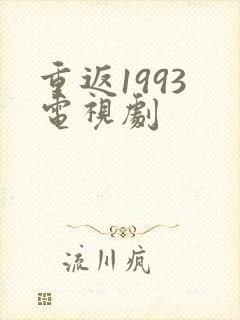 重返1993 电视剧