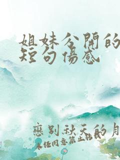 姐妹分开的文案短句伤感