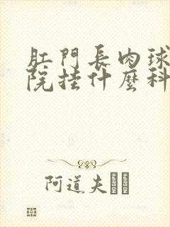 肛门长肉球去医院挂什么科