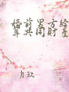 婚前男方给的钱算共同财产吗