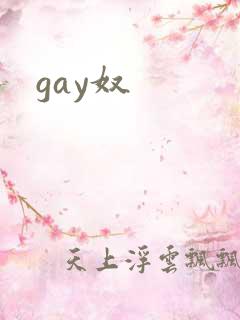 gay奴