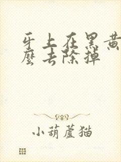 牙上在黑黄渍怎么去除掉