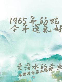 1965年的蛇今年运气好不好