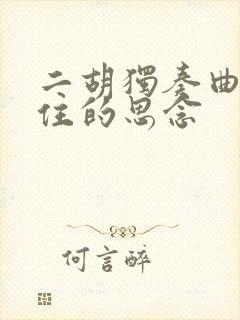 二胡独奏曲挡不住的思念