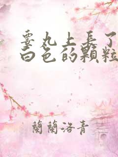 睾丸上长了很多白色的颗粒