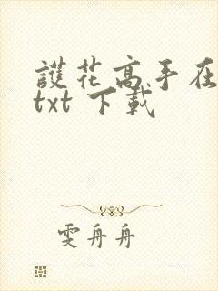 护花高手在都市txt 下载