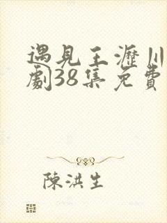 遇见王沥川电视剧38集免费