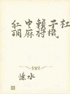 红中赖子杠怎么调麻将机