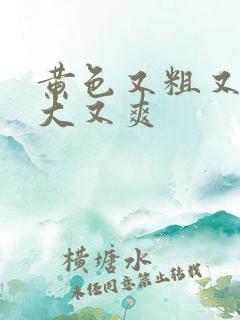 黄色又粗又长又大又爽