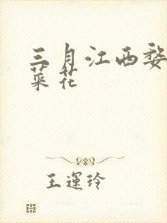 三月江西婺源油菜花