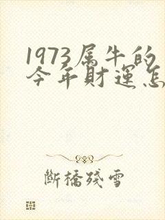 1973属牛的今年财运怎么样