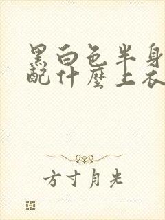 黑白色半身裙搭配什么上衣