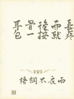 耳骨后面长了个包一按就疼