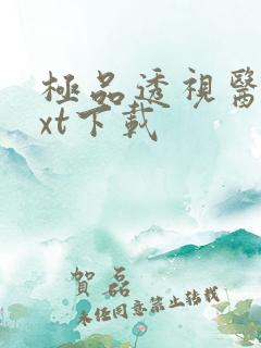 极品透视医圣txt下载