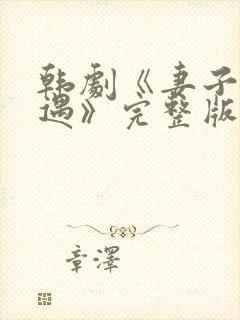 韩剧《妻子的外遇》完整版