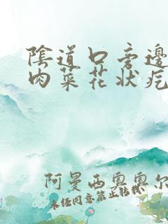 阴道口旁边有个肉菜花状疙瘩