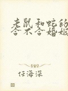 老鼠和蛇的属相合不合婚姻