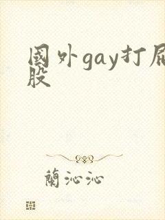 国外gay打屁股