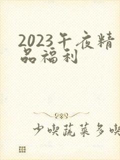 2023午夜精品福利