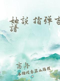 她说 指弹吉他谱