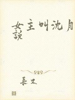 女主叫沈月的小说