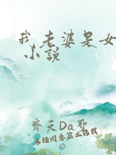 我老婆是女学霸 小说