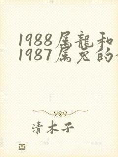 1988属龙和1987属兔的婚姻相配吗