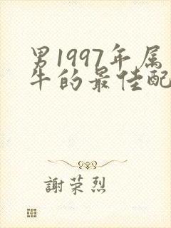 男1997年属牛的最佳配偶