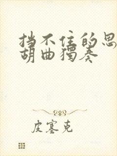 挡不住的思念二胡曲独奏